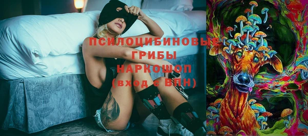 прущий лед Заречный