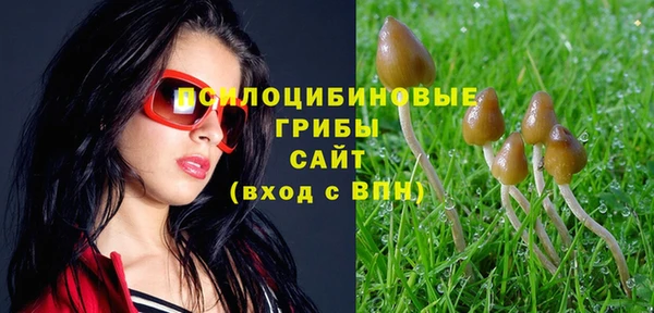не бодяженный Нязепетровск